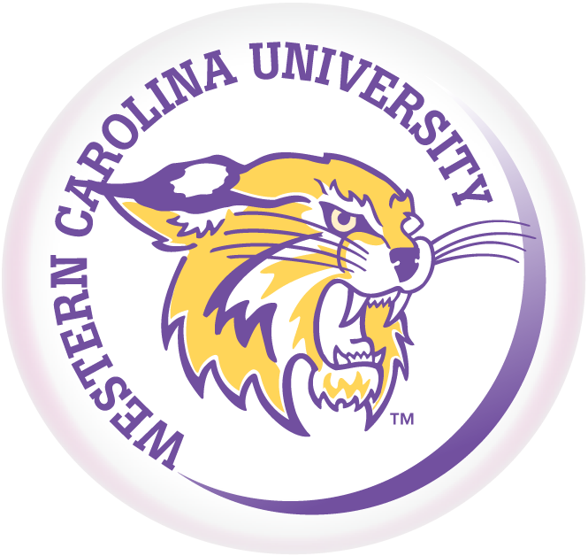 Western Carolina Catamounts 1996-2007 Alternate Logo v4 diy iron on heat transfer